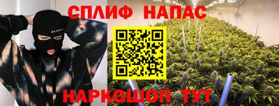 дживик Кингисепп