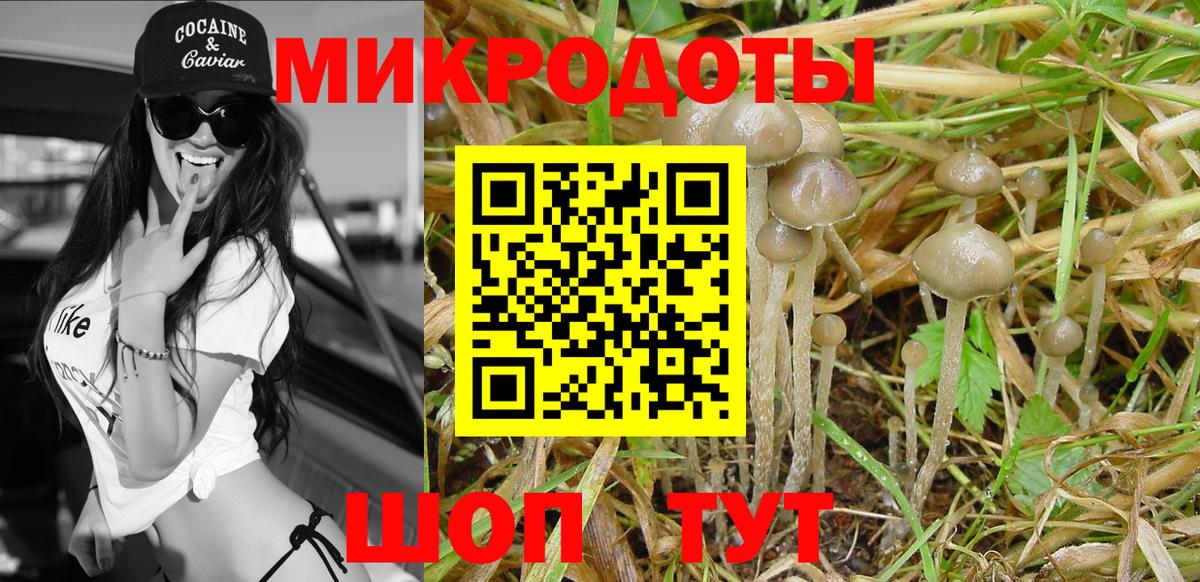 Псилоцибиновые грибы мухоморы Усть-Джегута